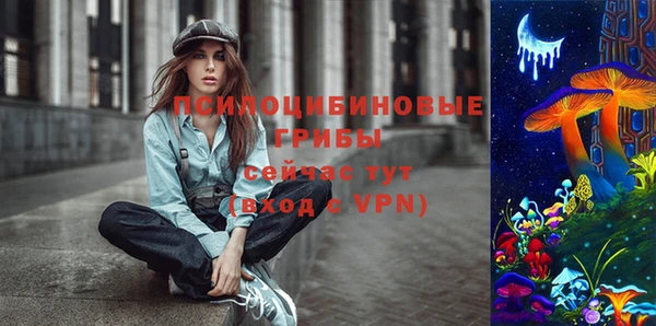 МДПВ Алексеевка