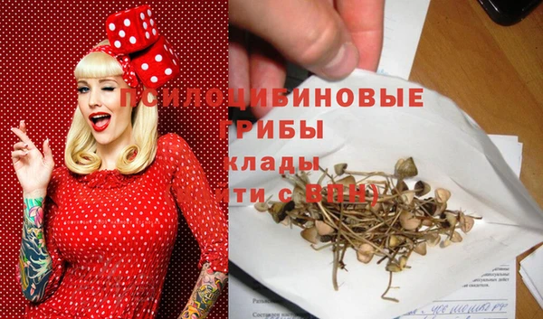 спайс Алзамай