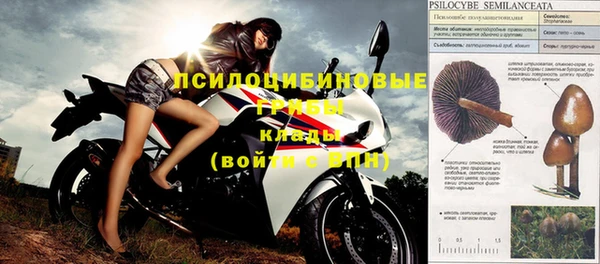 МДПВ Алексеевка