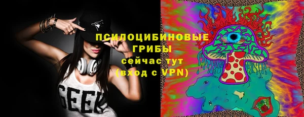 спайс Алзамай