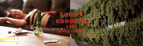 стаф Вяземский